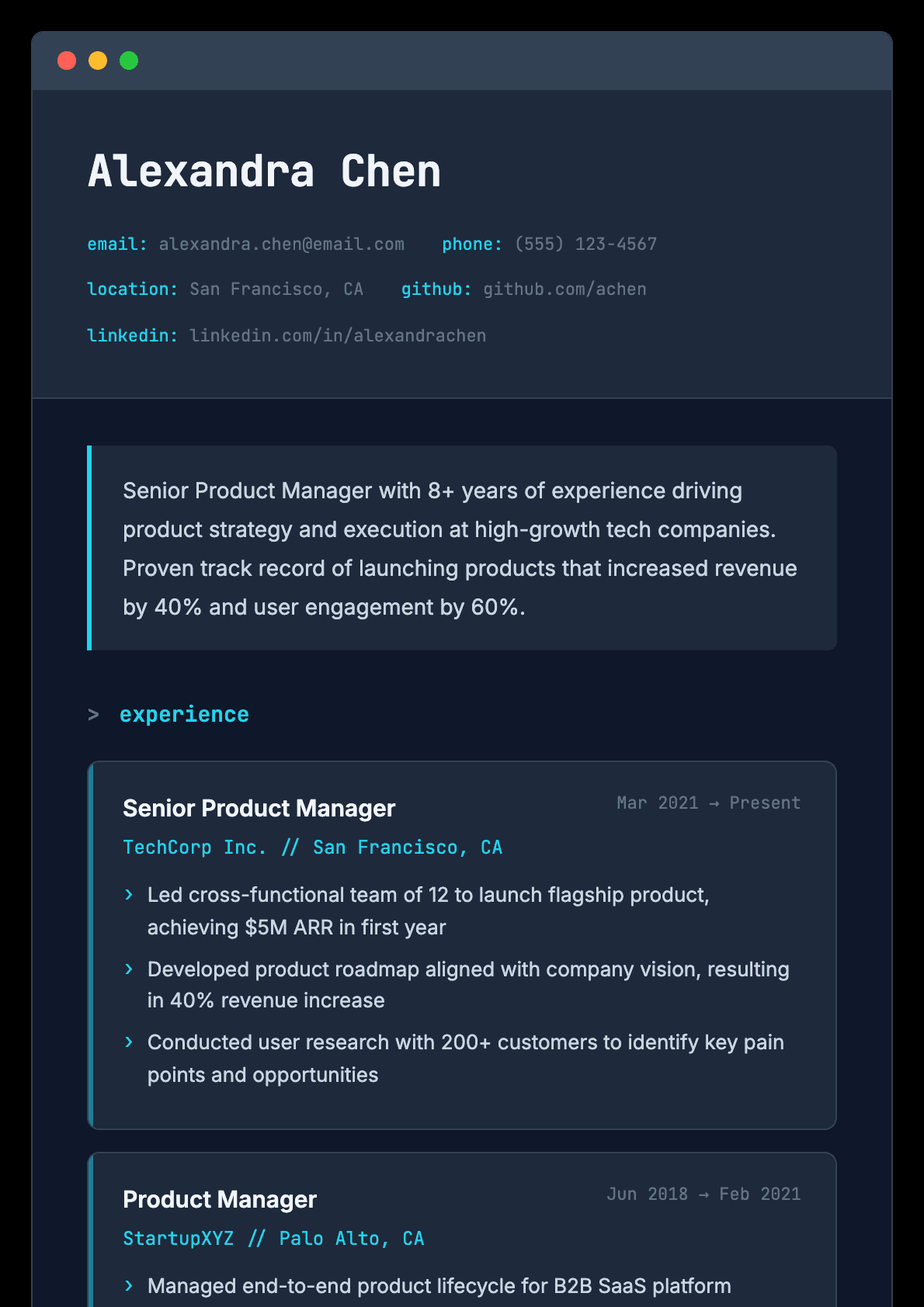 Dark Professional resume template preview